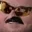 7tv emote
