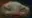 7tv emote