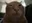 7tv emote