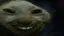 7tv emote: xddkiss