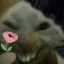 7tv emote