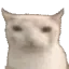7tv emote