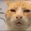 7tv emote