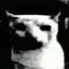 7tv emote