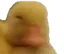 7tv emote