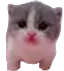 7tv emote