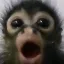 7tv emote
