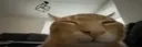 7tv emote: buhflipexplode
