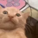 7tv emote: Waaa