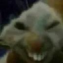 7tv emote