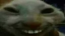 7tv emote