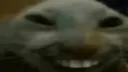 7tv emote