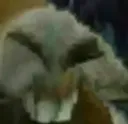 7tv emote