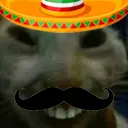 7tv emote